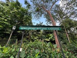 College Green (D11), Detached #499150791